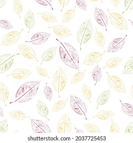 Seamless autumn leaves pattern for print fabric isolated on white background. Vector illustrator.