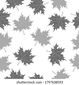 Seamless autumn leaves pattern. White background, grey maple leaves. The print is well suited for Wallpaper.