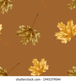Seamless Autumn leaves water colour on brown background, Dry maples leaves in brown and gold colour pattern for Autumnal background. Digital painting, Endless wild natural design concept 