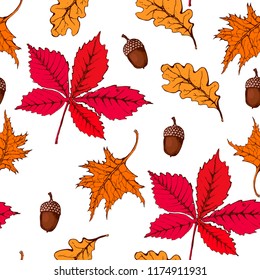 seamless autumn pattern, colored leaves, maple, oak, acorns, white background, vector, hand drawing