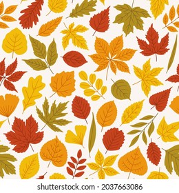 Seamless autumn pattern with cute leaves of maple, oak, linden, birch, ginkgo, etc. Vector illustration, white background. Fashion print for fabric, package, wrapping. Red, orange, yellow, green color