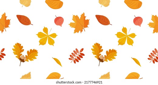 Seamless autumn pattern. Falling autumn leaves. In autumn, different leaves and plants, seasonal colors. Seamless background of leaf fall. Autumn pattern. Vector illustration