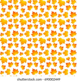 Seamless autumn pattern. Autumn leaves on a white background
