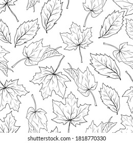 seamless autumn pattern with line art leaves