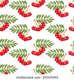 Seamless autumn pattern. A pattern made from the ripe berries of mountain ash and green leaves, on a white background.