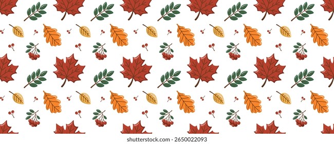 Padrão de outono sem costura com folhas de bordo, bagas de rowan e folhagem de queda. Fundo do vetor de desenhos animados. 