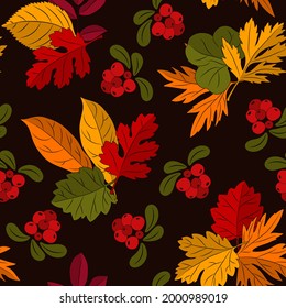 Seamless autumn pattern with natural elements on dark background. Colorful leaves, cowberry. Vector.
