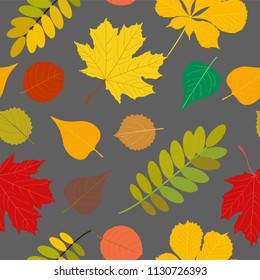 Seamless Autumn pattern Orange, yellow, brown red fall forest rowan, birch, tree leaves and herbs. Wallpaper, background beautiful, cute, trendy bright print