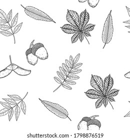 Seamless Autumn pattern. Wallpaper, background beautiful, cute, trendy bright print