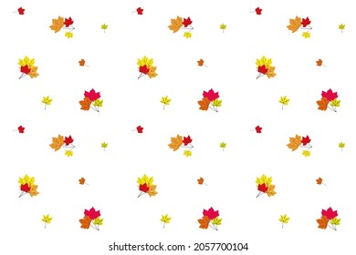 Seamless autumn vector background from colored bundles maple leaves on white. Pattern from natural materials. Design element