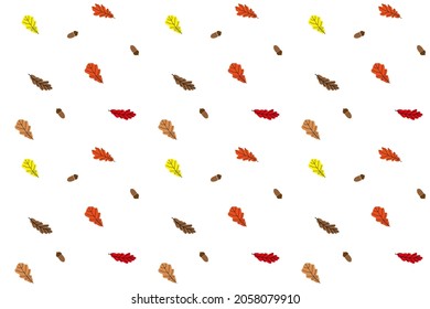 Nahtloser HerbstVektorhintergrund aus farbigen Eichenblättern und Eichenhornhäuten auf Weiß. Muster aus natürlichen Materialien. 