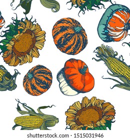 seamless autumn vegetables pumpkin corn cob sunflower background, hand drawing style on white background, vector