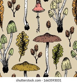 Seamless autumn vintage pattern of forest plants, cones and mushrooms. Vector outline illustration in Scandinavian style for printing on wrapping paper, wallpaper, fabric.