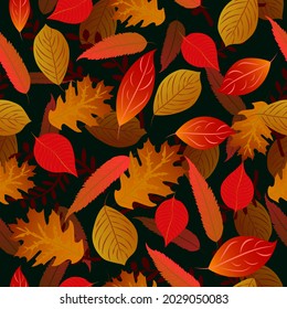 seamless  autumnpattern leaves on dark background vector