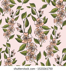 Seamless background with apple flowers and leaves on white.Vector botanical illustration. Vintage endless pattern with hand-drawn apple blossom.