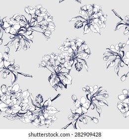 Seamless background with Apple flowers. Vector illustration