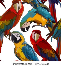Seamless background with Ara parrots. Vector isolated elements on the white background.