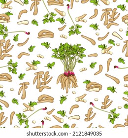 Seamless background of arracacha. Whole, half, sliced arracacha, arracacia with leaves. Organic vegetables. Vector illustration in cartoon style isolated on white background. Seamless pattern.