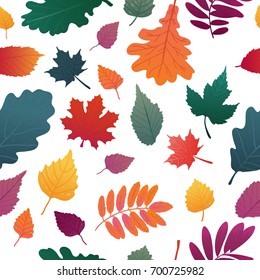 Seamless background with autumn leaf pattern. Fall herb, twig on white background.  Oak and maple leaf gradient color. Vector