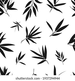 Fondo sin mar con hojas y ramas de bambú. Conjunto de hojas de árbol de bambú. Colección botánica dibujada a mano. Dibujo de partes de bambú y secciones de ramas y hojas sobre un fondo blanco. 