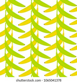 Seamless background with bananas. Hanging bananas in yellow and green.