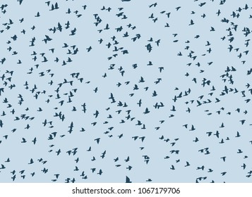 Seamless background with birds.