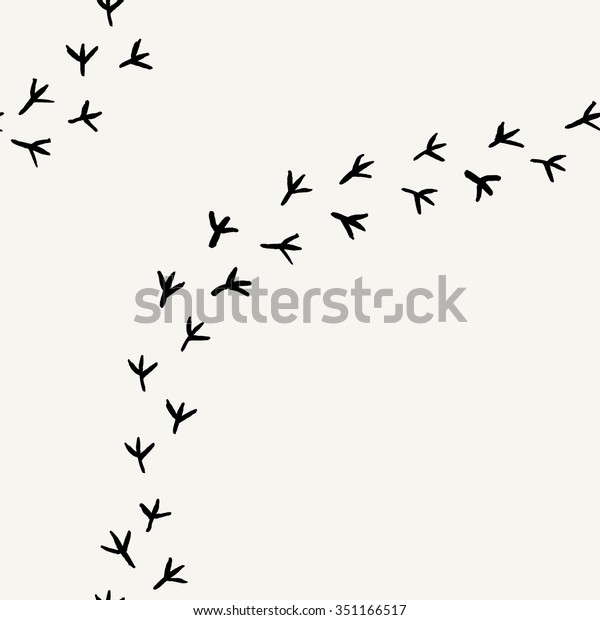Seamless Background Birds Tracks Hand Drawn Stock Vector (Royalty Free) 351166517