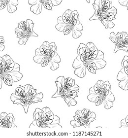 Seamless background with black line white Alstroemeria flowers. Hand-drawn vector Illustration. White background.