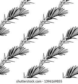 Seamless background with black palm leaf. Botanical floral illustration. Vector line drawn tropical leaves. Hand drawn contour sketch on white background.