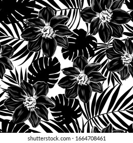 Siluetas blancas y negras de flores tropicales y hojas de palma. Primavera-verano. Diseño elegante y exquisito para tarjetas de felicitación, grandes descuentos, venta, tejidos exóticos, empaque