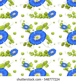 Seamless background with blue morning glory flowers illustration