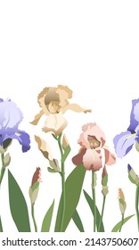 Seamless background with blue, yellow and purple iris flowers on white