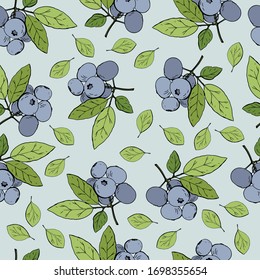 seamless background with blueberries. for a summer juicy design