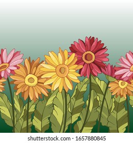 seamless background, border with daisy flowers, gerberas, vector illustrations in bright colors