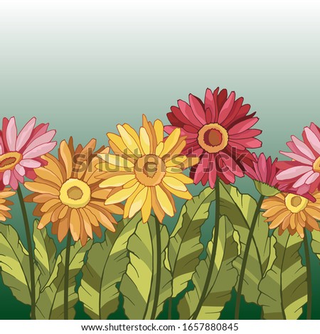 seamless background, border with daisy flowers, gerberas, vector illustrations in bright colors
