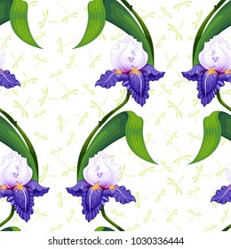 Seamless background with borders with flowers of irises and dragonflies.