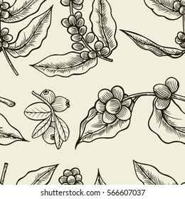 Seamless background with branch of coffee and beans. Hand drawn illustration in sketch style.