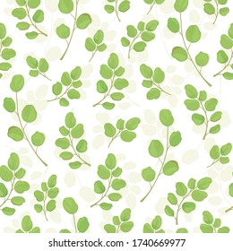 Seamless background with branches of Silver Dollar eucalyptus.Tropical seamless pattern of eucalyptus branches with green leaves on white. Pattern of branches with green leaves. Vector illustration.