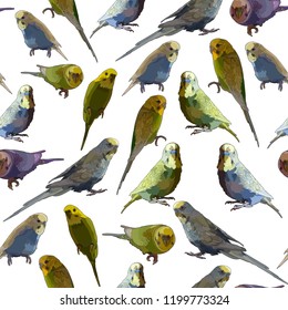 Seamless background with budgerigars. Vector isolated elements on the white background.