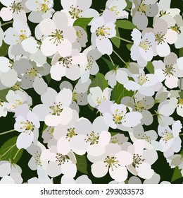 Seamless background from bunch of blossoming apple tree flowers