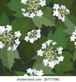 Seamless background from bunch of blossoming viburnum flower