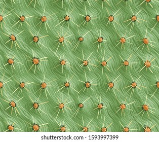 Seamless background, cactus with thorns. Cactus texture. Prickly pear. Close-up. Hand drawing.