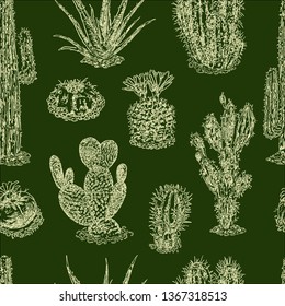 Seamless background of cactuses sketches