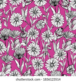Seamless background with camomiles. Medicinal plants, white flower, chrysanthemums. Coloring. Hand-drawn graphics for children and adults. For textiles, wallpaper, design paper. Stock graphics Isolate
