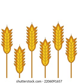 Los oídos de los cereales de fondo son blancos. Patrón horizontal de vector dibujado a mano
