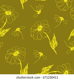 Seamless background with chamomile. Seamless pattern with hand drawn plants.Vector. Herbal background. Botanical illustration.