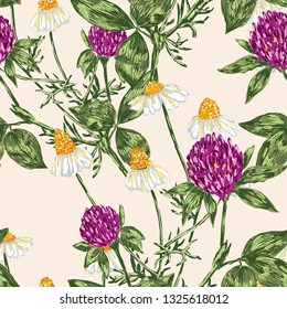 Seamless background of chamomiles and clovers