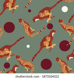fondo transparente con chita y círculo.diseño vectorial para papel, tela