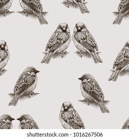 Seamless background of the city sparrows