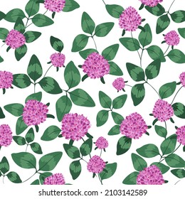 El fondo es impecable con tréboles. Flores de trébol rosa y hojas verdes y suculentas